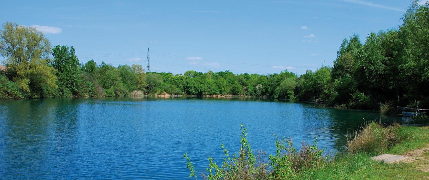 baggerfeld-1500x630-1