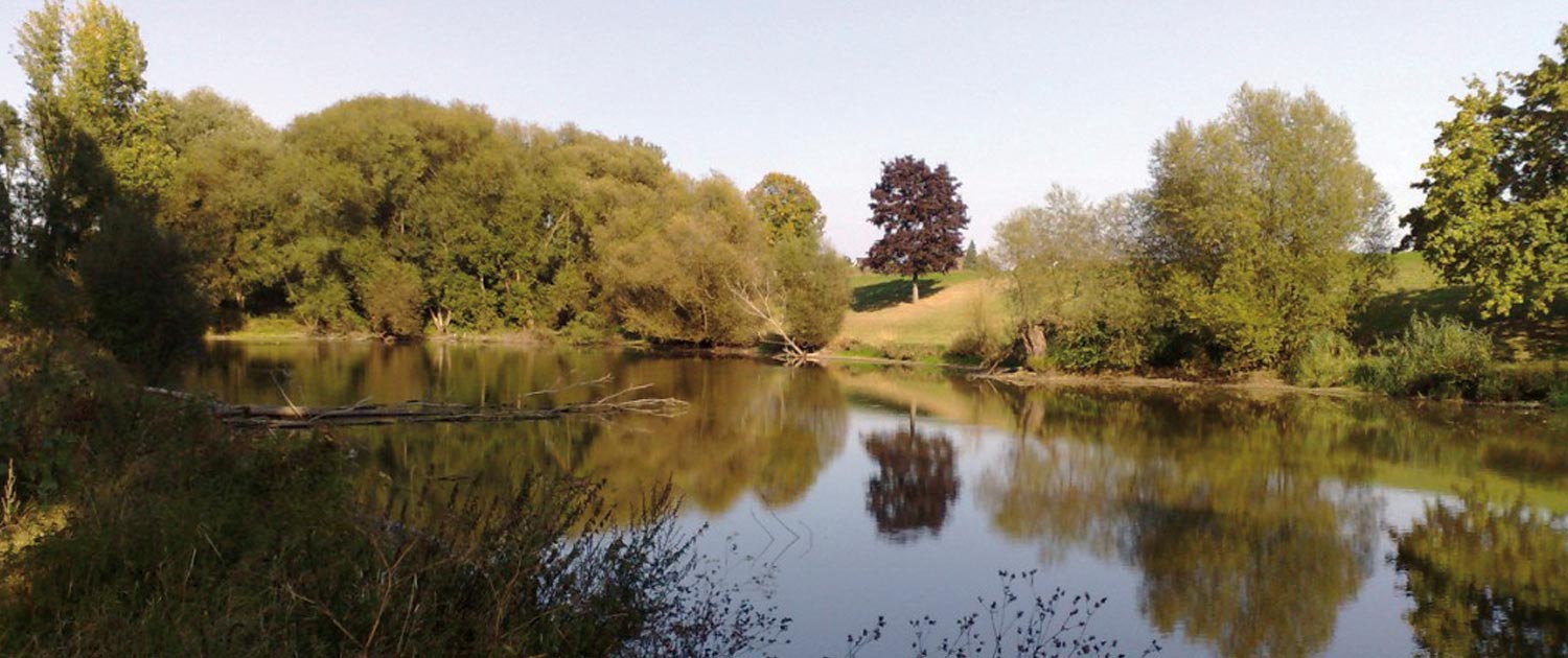 langel-1500x630-1